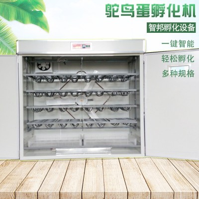 定制全自動(dòng)智能鴕鳥種蛋孵化機(jī)器鴯鹋孵化箱孵化器孵蛋器