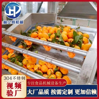 商用食堂不銹鋼果蔬清洗機(jī) 蔬菜大棗氣泡清洗機(jī) 多功能海帶洗菜機(jī)