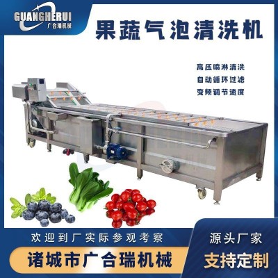果蔬氣泡清洗機 大姜白菜毛豆蔬菜高壓噴淋清洗設(shè)備 全自動洗菜機