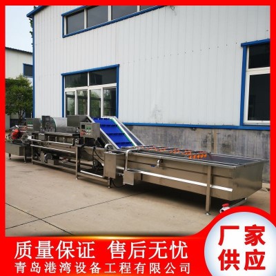 預(yù)制菜清洗機(jī) 蔬菜水果中央廚房預(yù)制菜設(shè)備 預(yù)制菜流水線