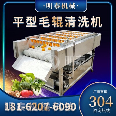 多功能毛輥清洗機(jī)小型土豆生蠔蓮藕去泥土清洗設(shè)備商用生姜去皮機(jī)