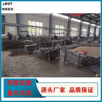 德州博耀養(yǎng)殖設(shè)備廠家供應(yīng) 歐式單雙體母豬產(chǎn)床 豬用定位欄