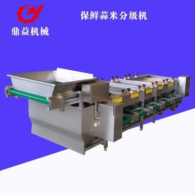 全自動(dòng)大蒜加工流水線 蒜瓣分選機(jī) 干蒜米加工設(shè)備廠家供應(yīng)