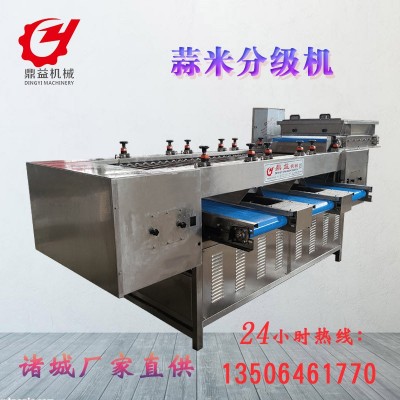 蒜米分揀分選機(jī)設(shè)備 大型蒜瓣分選機(jī) 篩選設(shè)備廠家直供