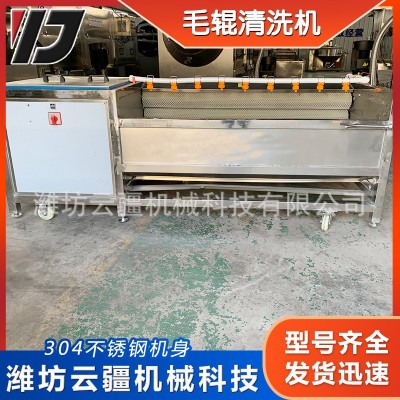 全自動毛輥清洗機 土豆芋頭山藥清洗去泥機 小龍蝦毛輥清洗設(shè)備