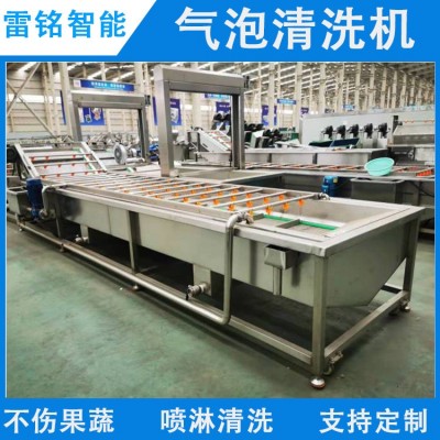 供應(yīng)蔬菜水果清洗機(jī)柑桔橙子清洗機(jī) 自動(dòng)氣泡清洗機(jī) 洗果機(jī)洗菜機(jī)