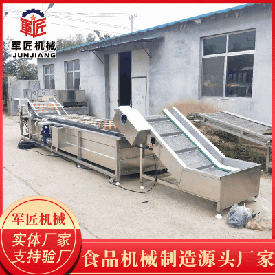全自動大型果蔬氣泡清洗機(jī) 萵筍高壓噴淋果蔬清洗機(jī) 蕓豆清洗設(shè)備