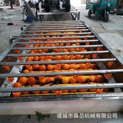 廠家全自動(dòng)水果清洗打蠟機(jī)拋光機(jī) 橘子沃柑洗果機(jī)