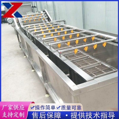全自動果蔬清洗機(jī) 藍(lán)莓粽葉清洗設(shè)備 不銹鋼氣泡清洗機(jī) 洗菜機(jī)