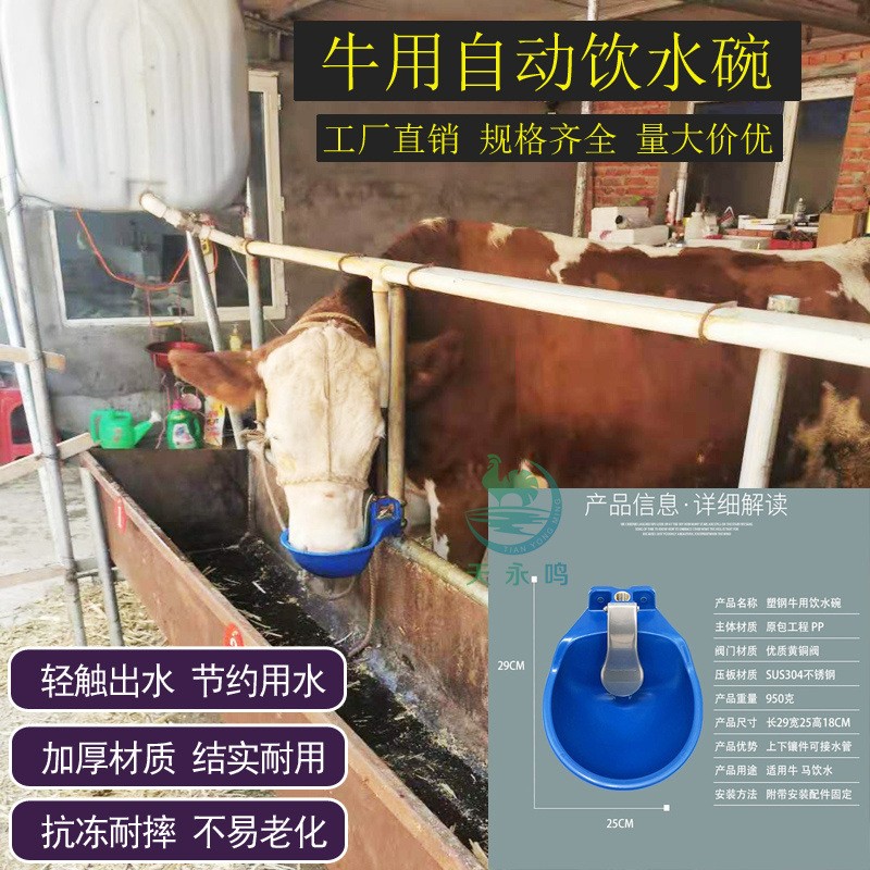 牛自動(dòng)飲水碗 家畜飲水器 牛羊喝水飲水碗 牛銅閥一體飲水碗