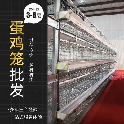 全自動框架蛋雞籠養(yǎng)雞設(shè)備自動清糞系統(tǒng)養(yǎng)殖設(shè)備鍍鋅大層疊養(yǎng)雞籠