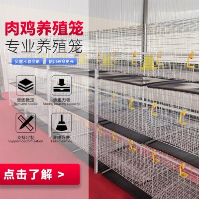 三層兩門立體式肉雞籠鋼絲網(wǎng)養(yǎng)殖設(shè)備雞籠子配件H型層疊式肉雞籠