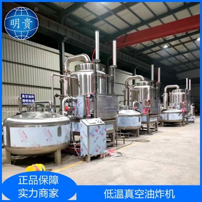 秋葵香菇真空油炸機(jī)小黃魚脆蝦低溫油炸設(shè)備果蔬脆片VF脫水工藝