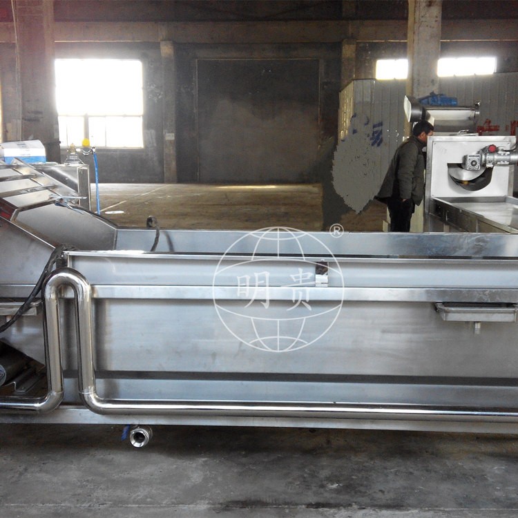 秋葵蘿卜片漂洗冷卻線 自動果蔬鼓泡式清洗機 帶毛輥可除毛發(fā)