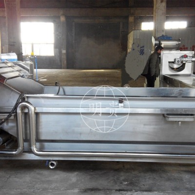 秋葵蘿卜片漂洗冷卻線 自動(dòng)果蔬鼓泡式清洗機(jī) 帶毛輥可除毛發(fā)