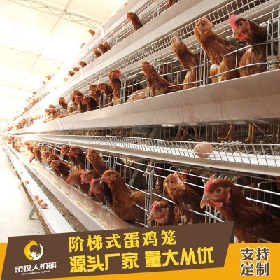 常年供應(yīng)養(yǎng)殖熱鍍鋅階梯層蛋雞籠設(shè)備批發(fā) 廠家批發(fā)階梯式蛋雞籠