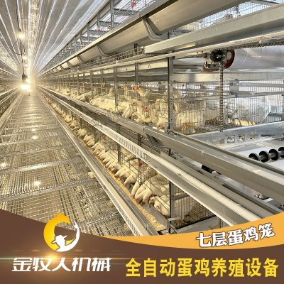 七層蛋雞籠 自動(dòng)化層疊蛋雞籠 養(yǎng)雞設(shè)備籠具養(yǎng)殖廠家供應(yīng)