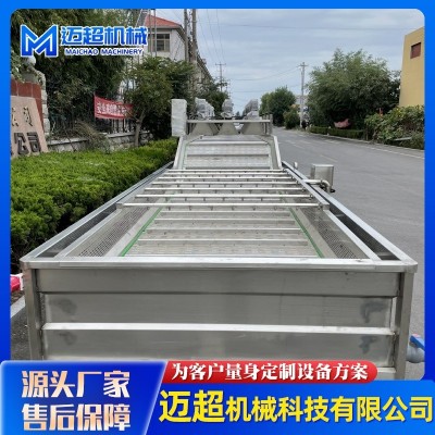 全自動(dòng)噴淋式果蔬清洗機(jī) 葉類蔬菜高壓氣泡清洗機(jī) 清洗流水設(shè)備