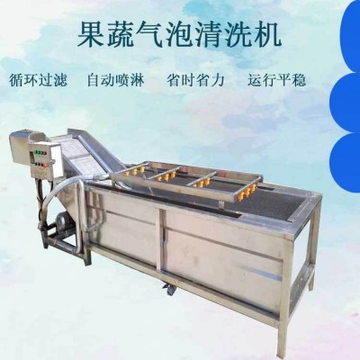 全自動(dòng)果蔬清洗機(jī) 噴淋式蘋(píng)果氣泡清洗流水線 白菜西紅柿清洗機(jī)設(shè)