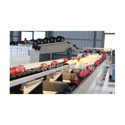 智能水果分選橙橘分選機(jī)