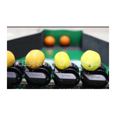 智能分選--沃柑分選機(jī)