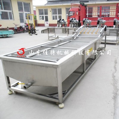源頭廠家果蔬清洗機設(shè)備 無花果清洗機 全自動水果氣泡噴淋洗菜機