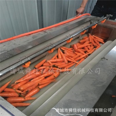 牛蒡葛根毛刷清洗機(jī) 胡蘿卜去雜毛輥清洗機(jī) 地黃去皮清洗設(shè)備