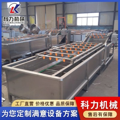 氣泡清洗機自動洗魚機 魚類自動清洗設(shè)備 不銹鋼氣泡清洗線