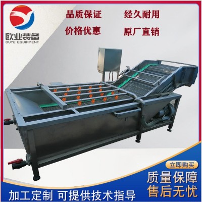 花生大豆氣泡清洗機(jī) 蔬菜清洗機(jī)設(shè)備 凈菜果蔬清洗機(jī)