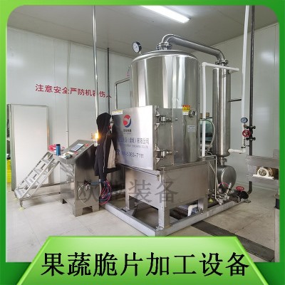 新型休閑食品加工設(shè)備 農(nóng)村致富創(chuàng)業(yè)項(xiàng)目 蔬菜干脫水果蔬脆片加工