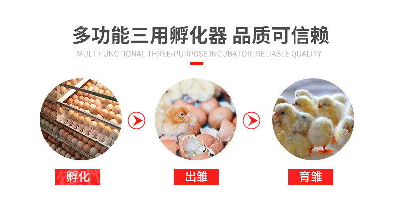 水床產(chǎn)品信息.jpg