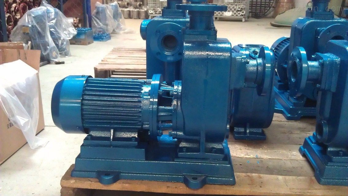 BZ直聯(lián)自吸泵