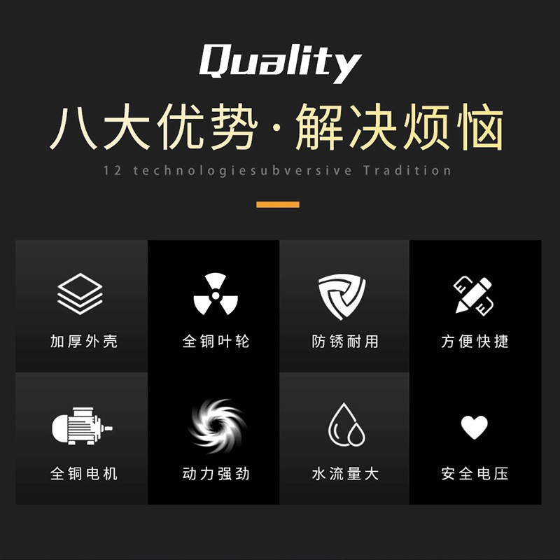 電動(dòng)車(chē)戶外農(nóng)用澆灌菜水井抽水泵12V24V48V大流量直流自吸泵