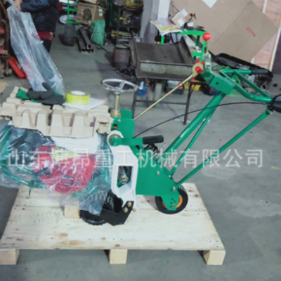 汽油動力廣東手推式TJ668型起草皮機(jī)博昂牌草坪養(yǎng)護(hù)移植草坪機(jī)