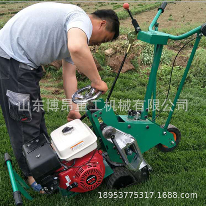 1A起草皮機(jī) (8).jpg