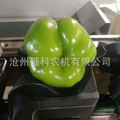 青椒分選機(jī)彩椒分級(jí)機(jī)菜椒分級(jí)機(jī)篩選機(jī)分揀機(jī)