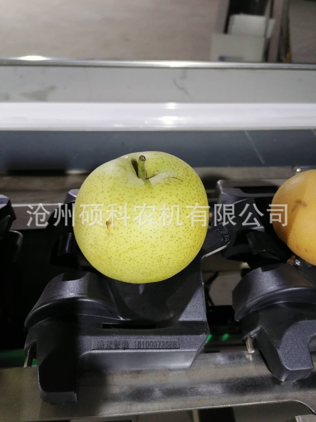 電子稱重克重檸檬分級(jí)機(jī) 分選機(jī)小型篩選機(jī)水果分選機(jī)