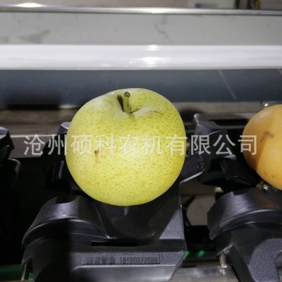 電子稱(chēng)重克重檸檬分級(jí)機(jī) 分選機(jī)小型篩選機(jī)水果分選機(jī)