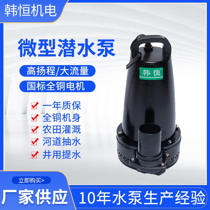 微型潛水排污泵電瓶車(chē)接電家用直流抽水泵單吸手提立式灌溉抽水泵