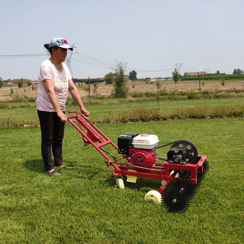園林草坪切邊機(jī)草坪基地專用草皮切塊劃線機(jī)草場鏟草皮用切割機(jī)