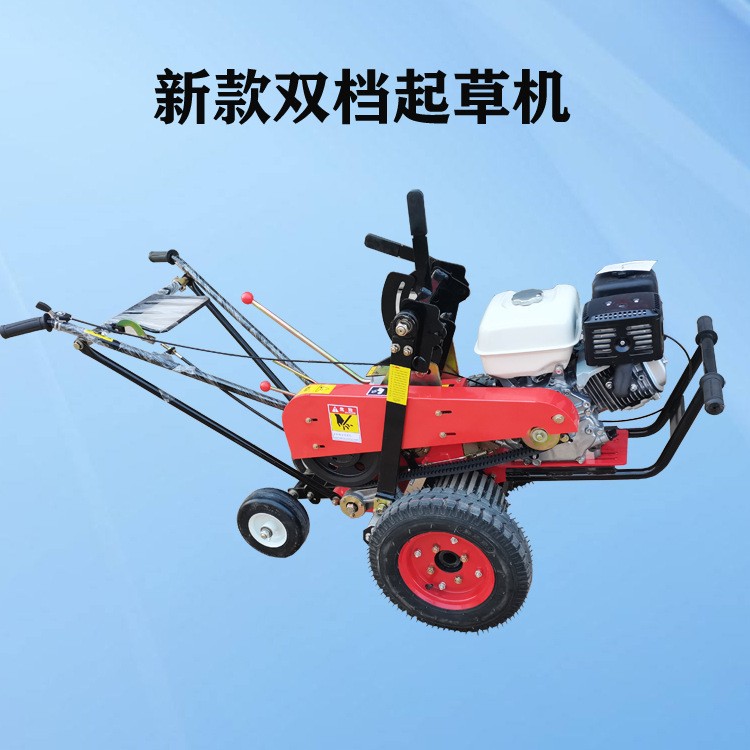 草坪基地起草機(jī)草坪建植自走式起草坪設(shè)備草坪移植切塊機(jī)鏟草機(jī)