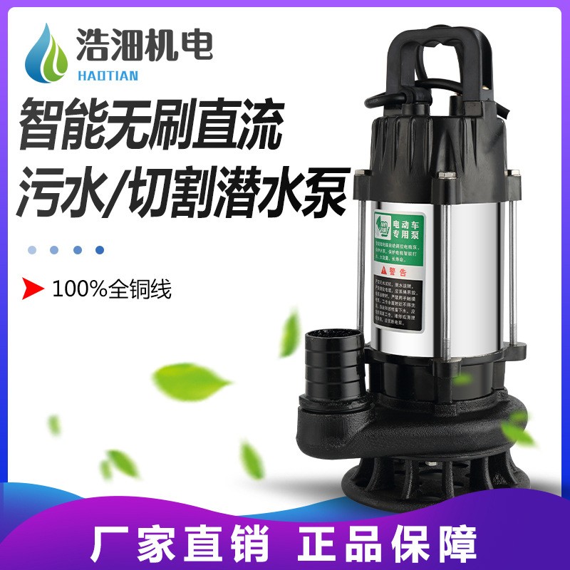 浩沺廠家直銷(xiāo)化糞沼氣池排污泵1寸1.5寸48-72v高揚(yáng)程潛水泵污水泵