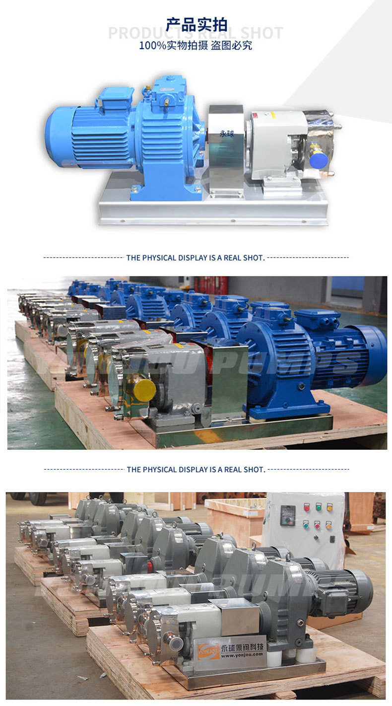 LQ3A轉(zhuǎn)子泵-實(shí)物拍攝