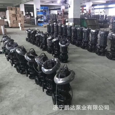 供應(yīng)WQ潛水泵 立式污水提升泵 鉸刀式潛污泵 潛水排污泵選型