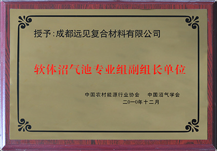 軟體沼氣副組長(zhǎng)1