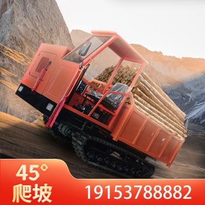 座駕式履帶運輸車農(nóng)用山地爬坡王爬山全地形果園爬山虎運輸車