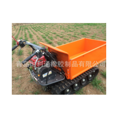 農(nóng)用履帶運輸車 ED500B 丘陵山地運輸 雪地轉(zhuǎn)運車