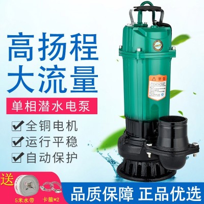 農(nóng)用220V 1寸2寸3寸4寸四寸潛水泵抽水機(jī)大流量高揚(yáng)程泵魚塘灌溉