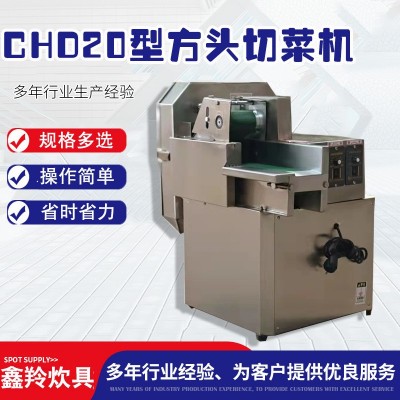 現(xiàn)貨銷售商用不銹鋼20方頭切菜機(jī) 蔬菜切片段丁絲小型切菜機(jī)