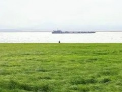 草坪播種機(jī)械有哪些類型？